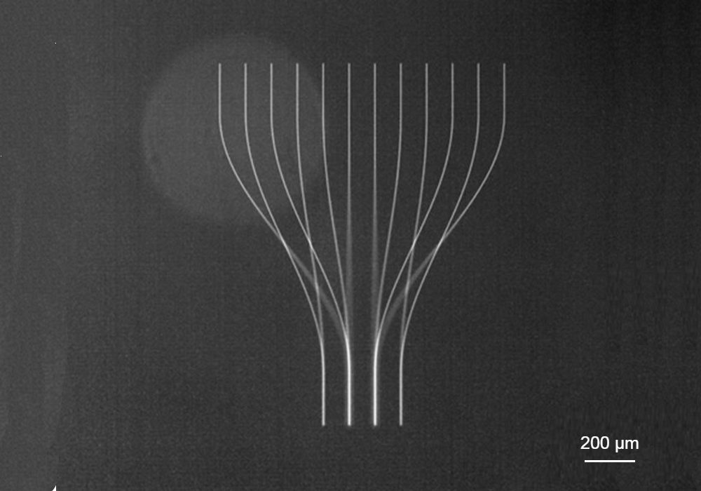 光纤光栅FBG加工 2025
